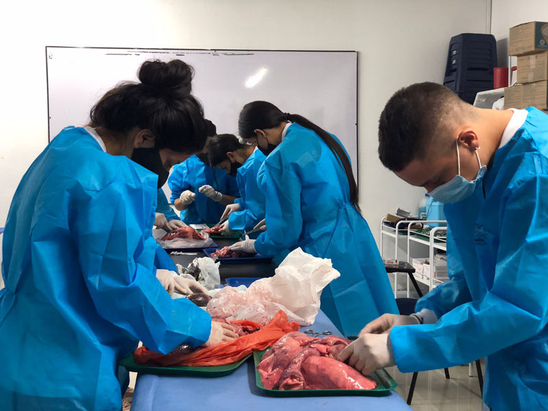 Estudiantes en practicas de una clase de premedico en Bogotá
