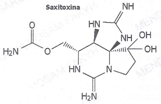 estructura Saxitoxina pregunta Ciencias naturales