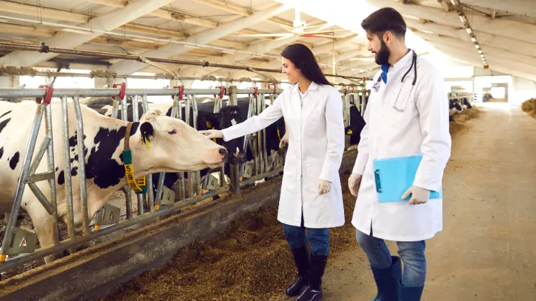 Medicina veterinaria y Zootecnia
