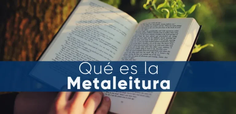 ¿Qué es la metaleitura?